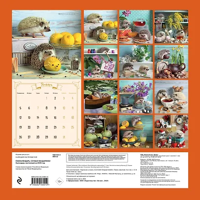 Ёжекалендарь. Сочные мандаринки. Календарь настенный на 2026 год (300х300) - фото 7