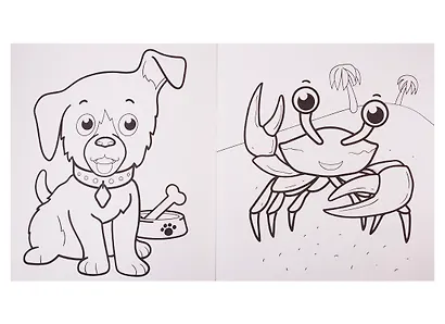 Животный мир - фото 2