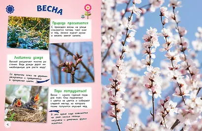 Обо всем на свете! Большая энциклопедия для маленьких - фото 5