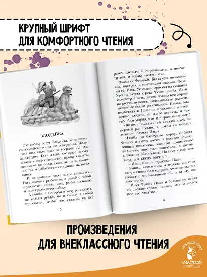 Белогрудка. Рассказы для детей - фото 5