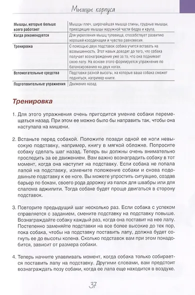 Гимнастрикс. Целенаправленная тренировка мыщц для собак. 42 упражнения - фото 5
