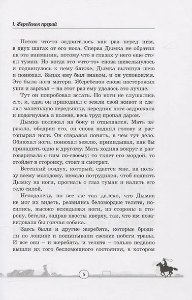 Дымка. Конь ковбоя - фото 5