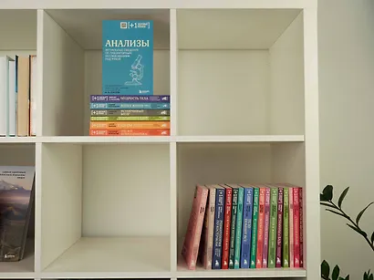 Устойчивый мозг. Как сохранить мозг продуктивным в любом возрасте - фото 12