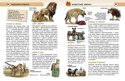 Животные - фото 9