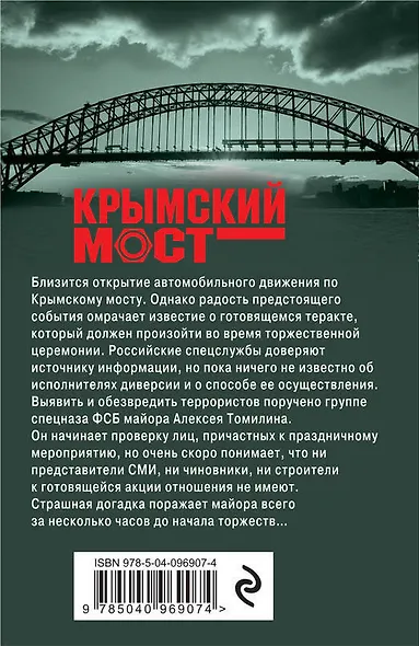 Стальное крыло ангела - фото 2