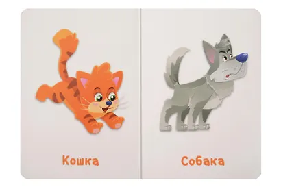 Домашние животные - фото 2