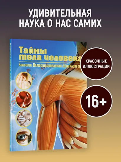 Тайны тела человека. Большая иллюстрированная энциклопедия - фото 4