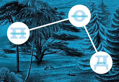 Маленькая книга хорошего сна. Для счастливого, энергичного и успешного дня - фото 8