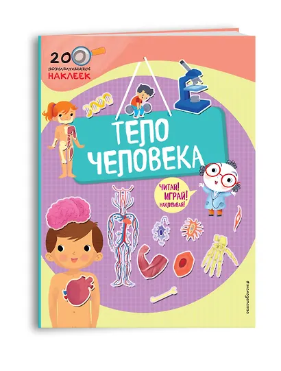 Тело человека - фото 3