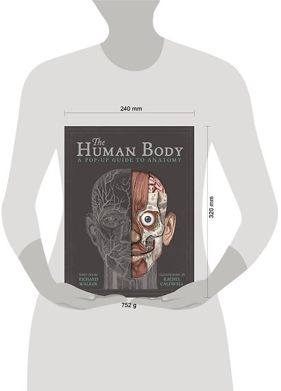 The Human Body - фото 6