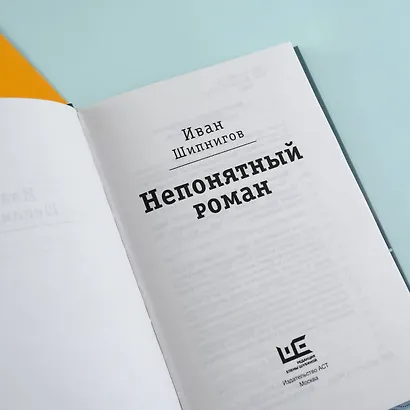 Непонятный роман - фото 10