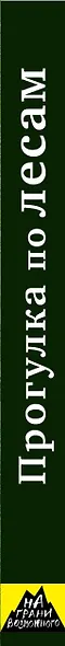 Прогулка по лесам. Вдохновение нужно черпать в том, что тебя пугает - фото 5