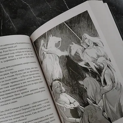 Рассеивая сумрак. Бессонная война - фото 13