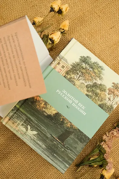 Золотой век русской поэзии - фото 14