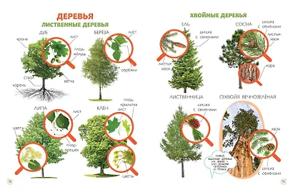 Главная книга малыша. Фотоэнциклопедия - фото 7