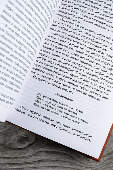 Убийство в теологическом колледже: роман - фото 11