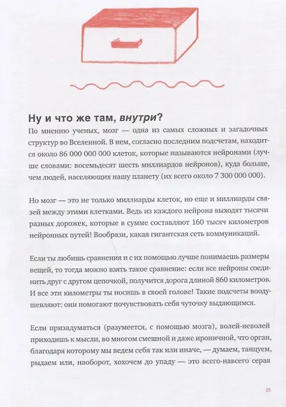 Что там внутри? Путеводитель по нашему мозгу - фото 2