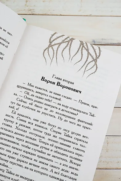 Ветер Дивнозёрья - фото 7