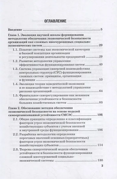 Методология совершенствования системы экон.безоп.орг. на основе риск-ориент. подхода. Монография - фото 2