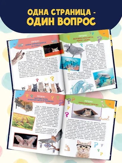 Большая книга почему - фото 4