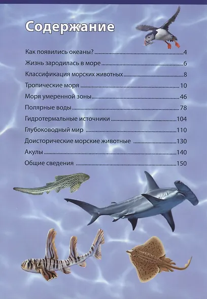 Животные морей и океанов - фото 2