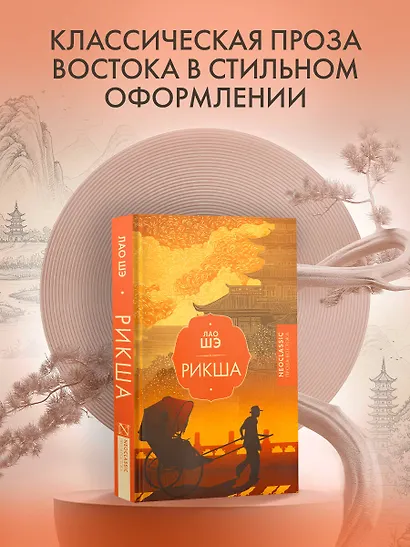 Рикша - фото 3