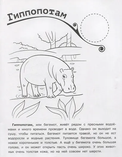 Животные Африки. Раскраска + большие наклейки внутри - фото 2