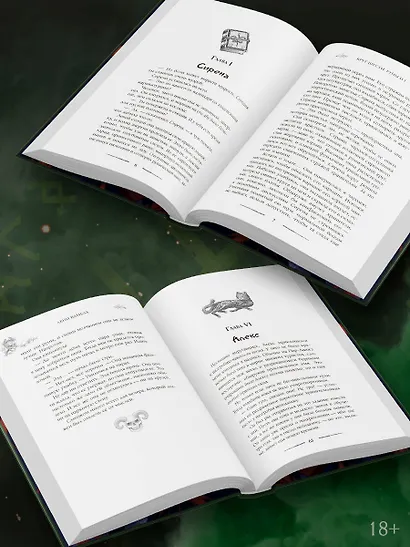 Круг Шести. Руны и кости - фото 5