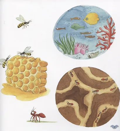 Где живут животные - фото 3