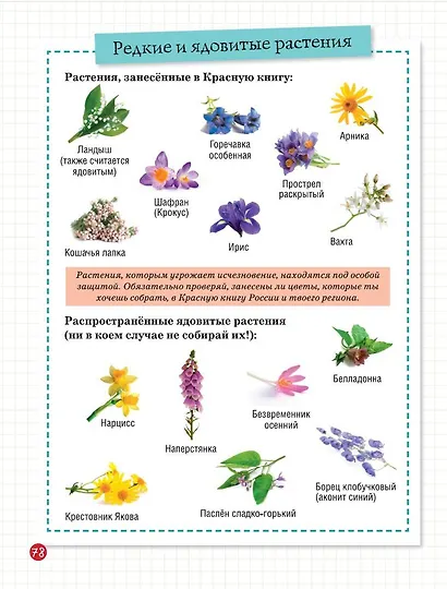 Мой первый гербарий - фото 9