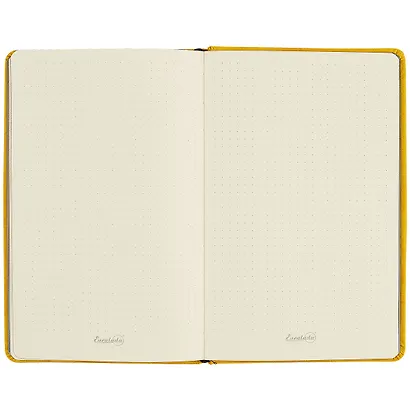 Записная книжка «Джинс делавэ жёлтый», 96 листов, А5 - фото 5