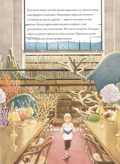 Коралловые рифы - фото 4