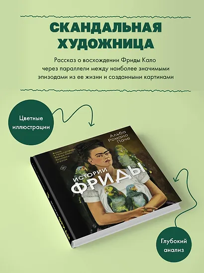 Истории Фриды: Жизнь и приключения Фриды Кало, бунтарки и изгоя - фото 4