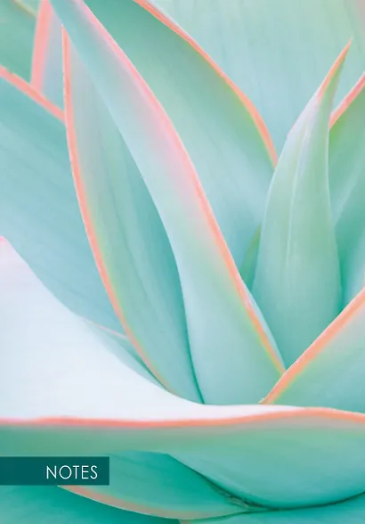 Книга для записей А5 100л кл. "Aloe" 7БЦ, ламинация soft touch - фото 3