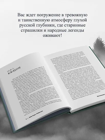 Баба Нюра. Либежгора. Мистический роман, основанный на реальных событиях - фото 6