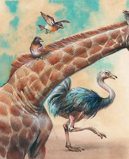 Сказки (ил. В. Канивца) - фото 7