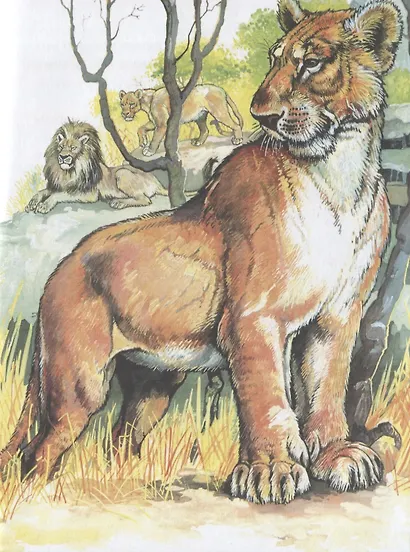 Динозаврик ищет маму - фото 4