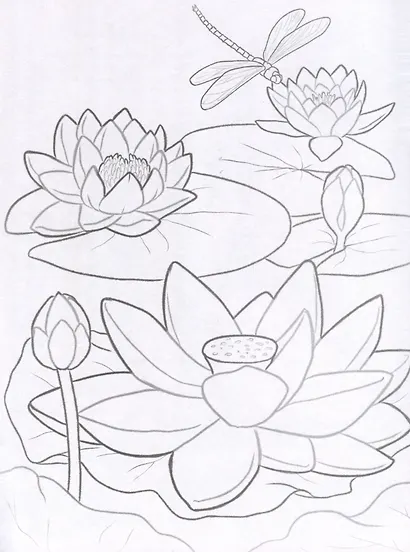 Красная книга. Птицы, цветы и растения. Посмотри и дорисуй - фото 4