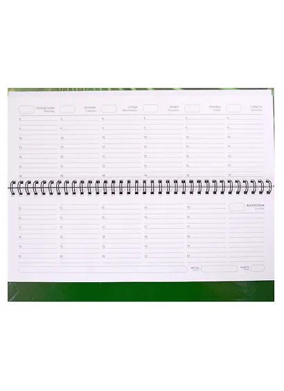 Планинг недат. 56л "Сочные листья" настольный, 7БЦ, глянц.лам, офсет - фото 2