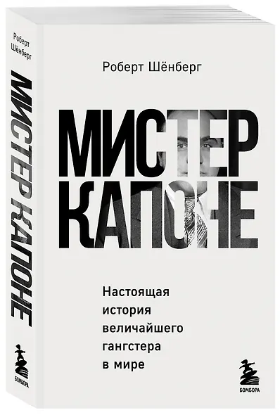 Мистер Капоне. Настоящая история величайшего гангстера в мире - фото 3