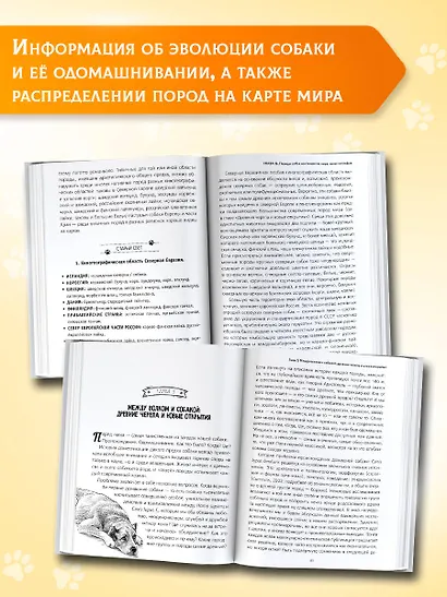 Породы собак Энциклопедия (обложка с терьером) - фото 6