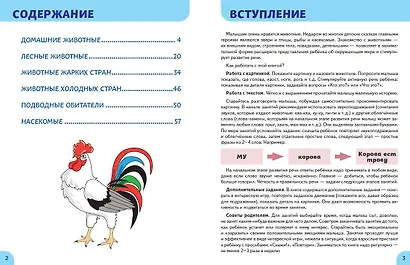 Животные. Первые занятия для малышей - фото 4