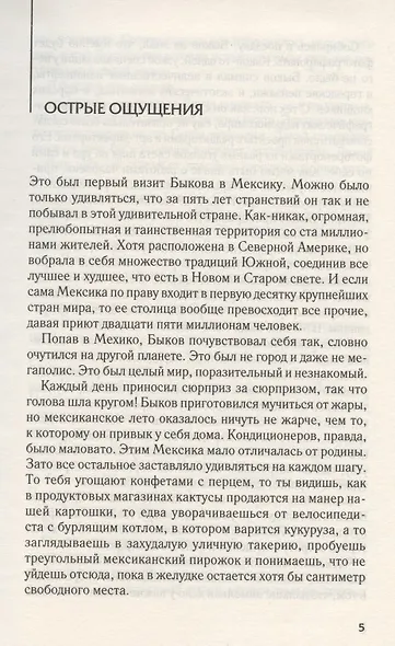 Возвращение "Летучего голландца" - фото 3