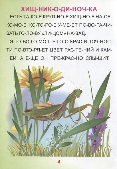 Читаем по слогам. Крупные буквы. Читалочки-познавалочки. Рассказы: слоговой тренажер - фото 4
