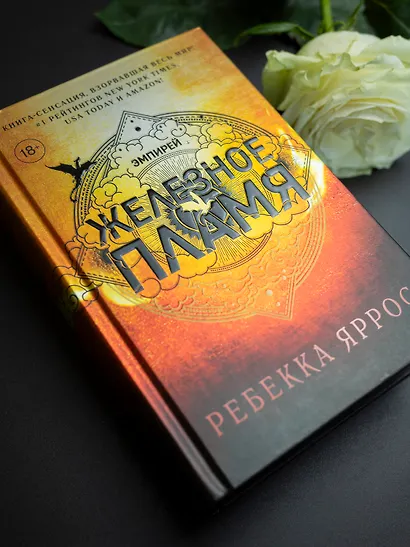 Железное пламя - фото 7