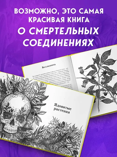 Яды: вокруг и внутри. Путеводитель по самым опасным веществам на планете. 2-е издание. - фото 7