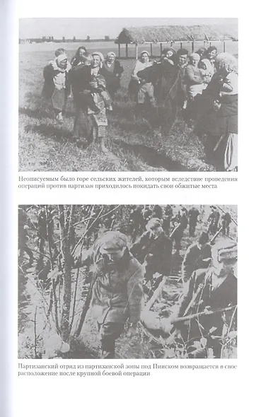 Война в немецком тылу. Оккупационные власти против советских партизан. 1941—1944 - фото 9