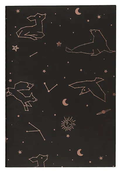 Тетрадь в линейку Wengu, "Созвездия", 40 листов, в ассортименте - фото 1