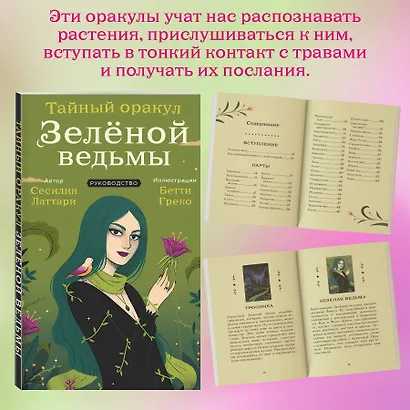 Тайный оракул Зеленой ведьмы (50 карт и руководство в подарочном оформлении) - фото 7