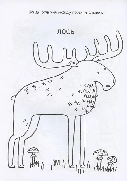 На природе. Большие раскраски - фото 5